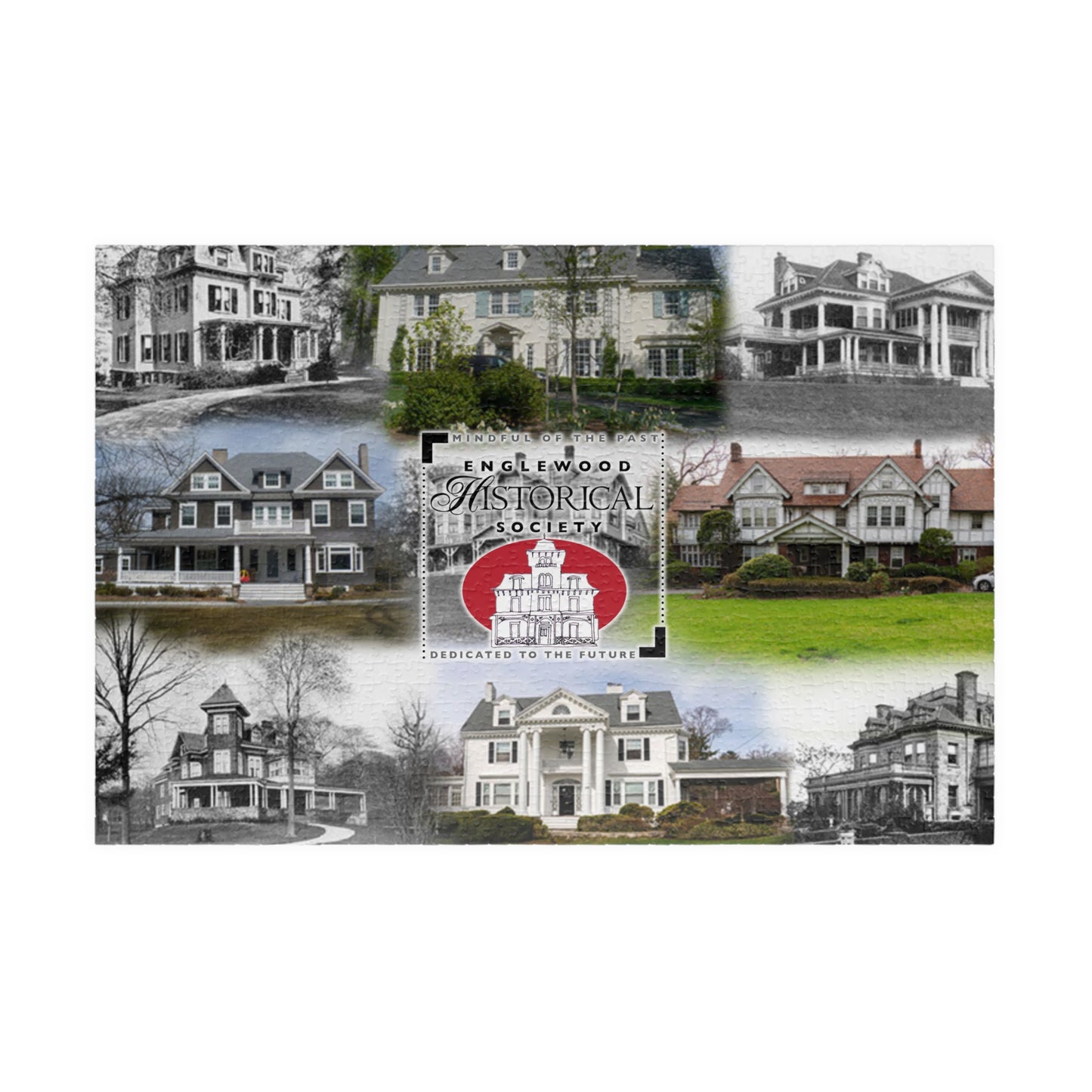 EHS Puzzle (110, 252, 1014-piece)