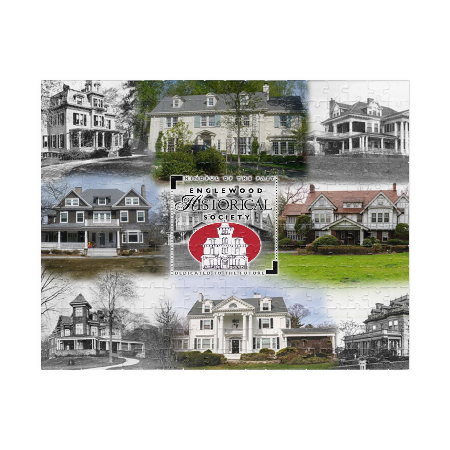 EHS Puzzle (110, 252, 1014-piece)