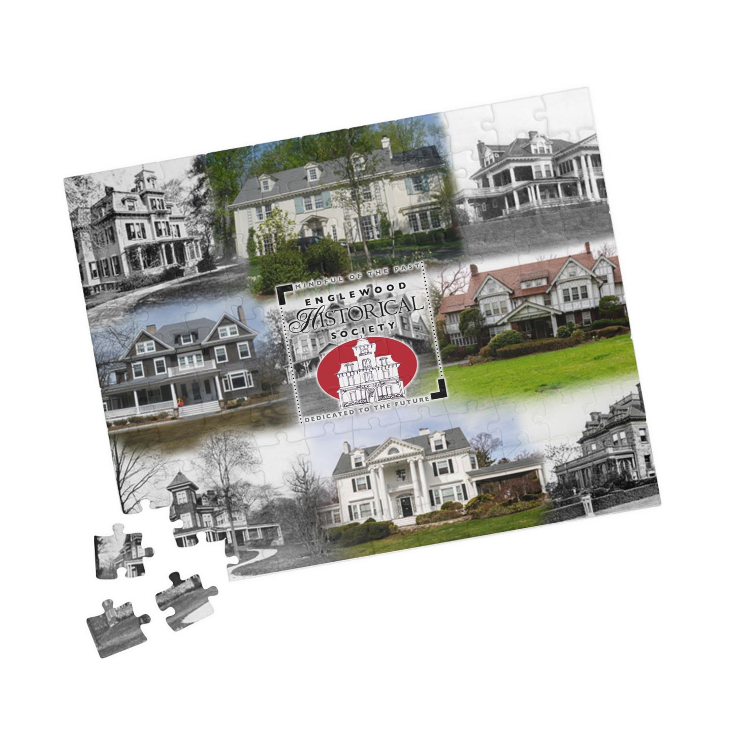 EHS Puzzle (110, 252, 1014-piece)