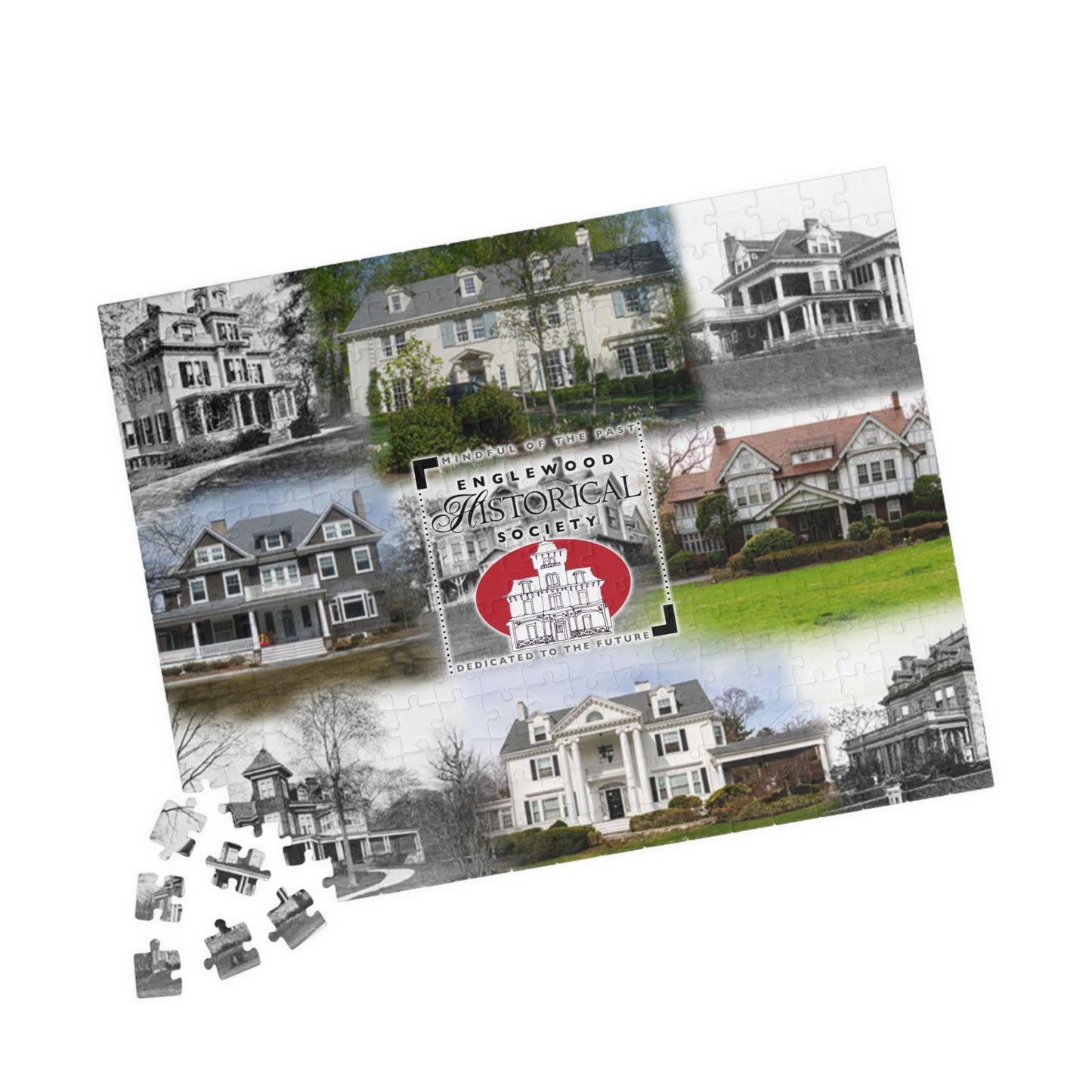 EHS Puzzle (110, 252, 1014-piece)