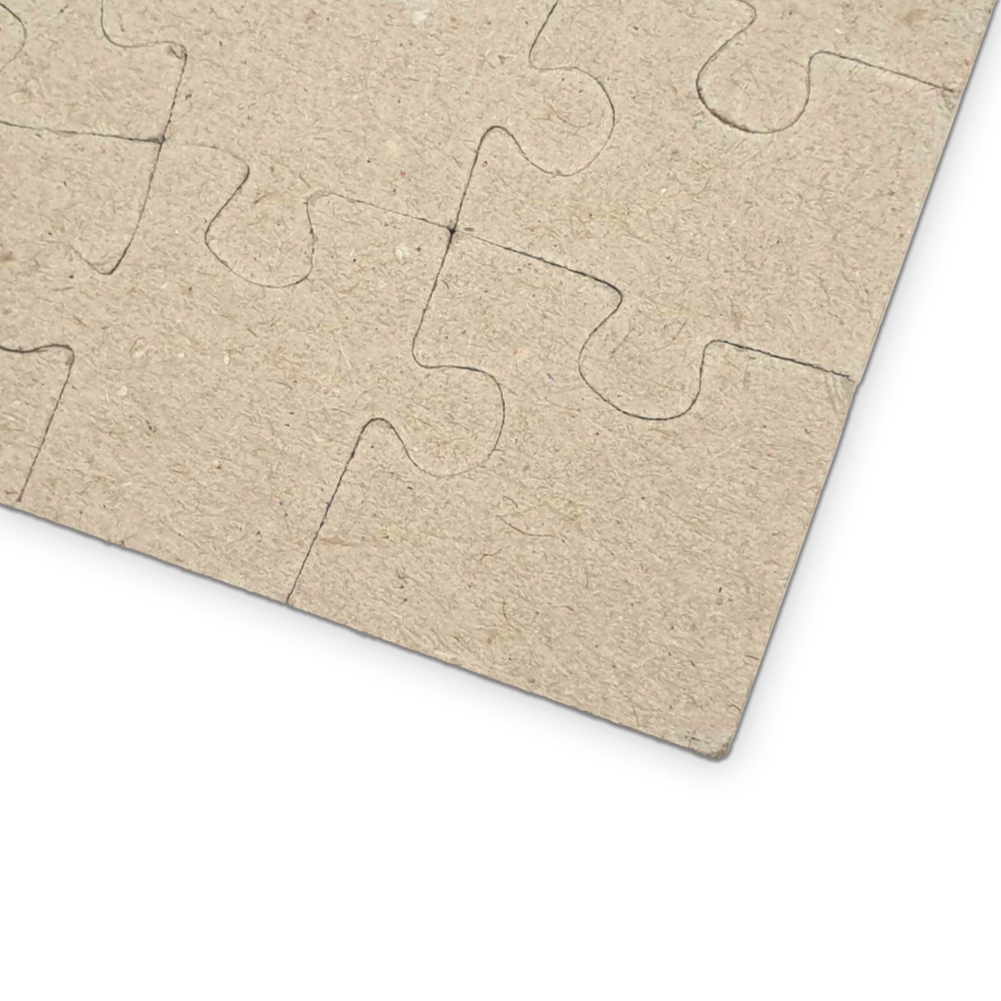 EHS Puzzle (110, 252, 1014-piece)