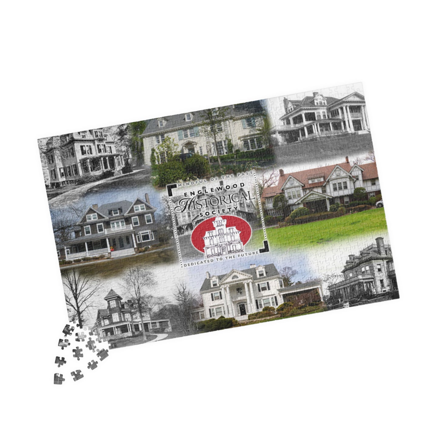 EHS Puzzle (110, 252, 1014-piece)