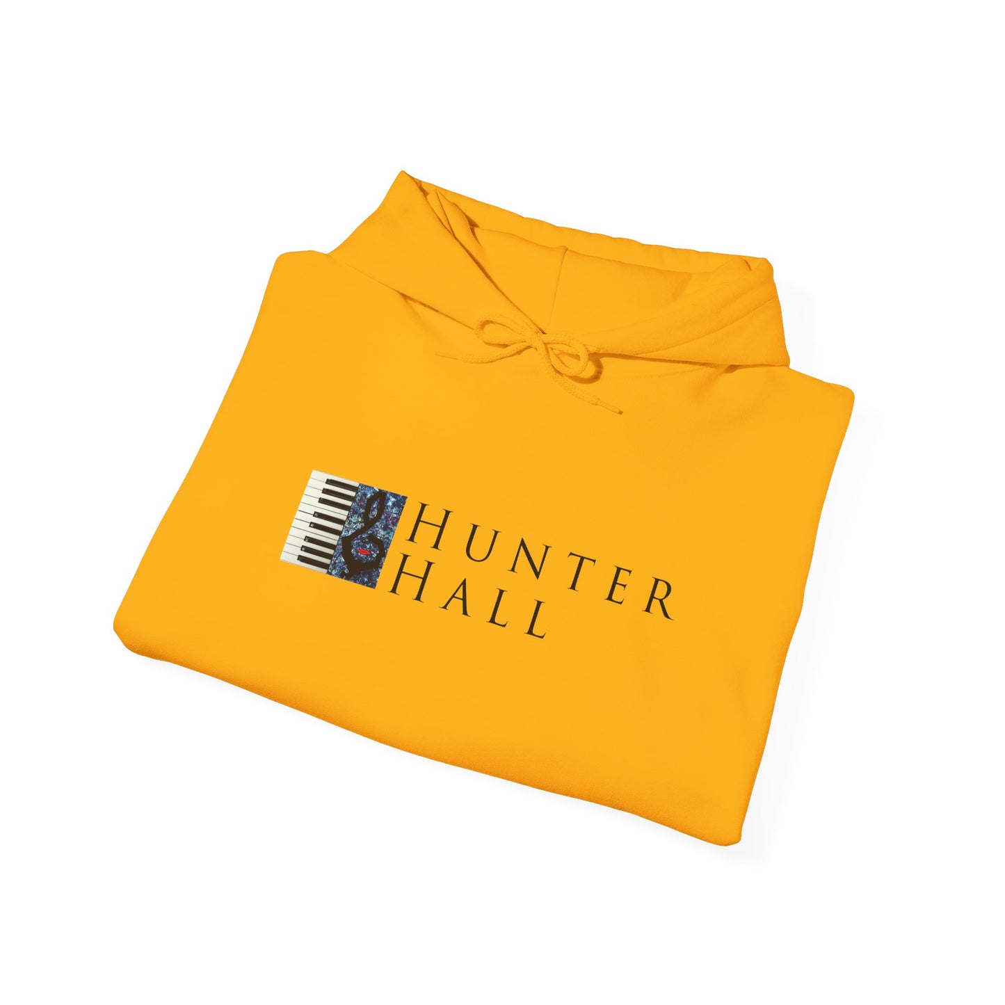 Hunter Hall: Just Practice Piano Sleeve Heavy Blend Hoodie